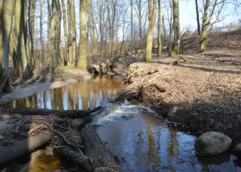 foto: PTTK Ziemia GorzowskaZbigniew Rudziński
