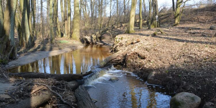 foto: PTTK Ziemia GorzowskaZbigniew Rudziński