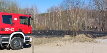 Mimo zagrożenia trawy wciąż są wypalane