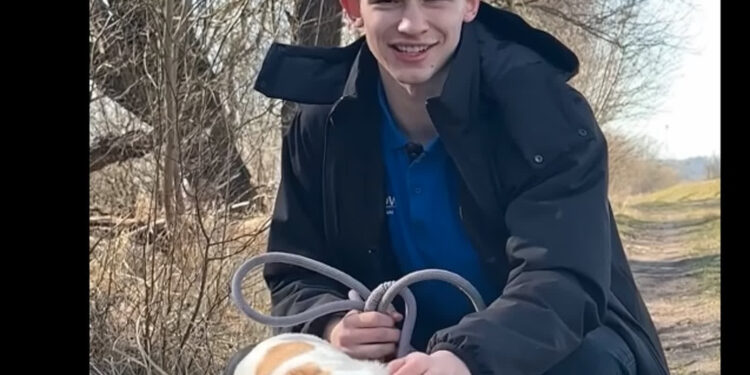 Cuprum Stilon z gorzowskim schroniskiem. Ambasadorem jeden z zawodników