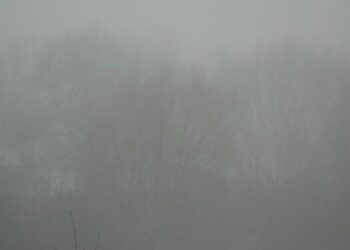 Gęsta mgła na północy regionu