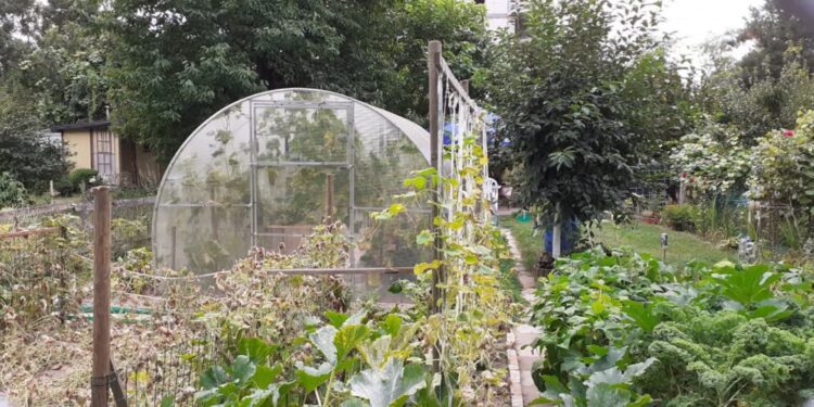 Szef działkowców przypomina o zakazie spalania odpadów