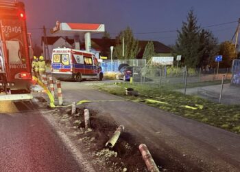 Fot. OSP Bogdaniec/FB