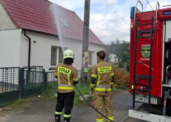 Leją aż miło. Strażacy zapewniają pomyślność