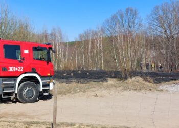 Dramatyczny wzrost liczby pożarów traw