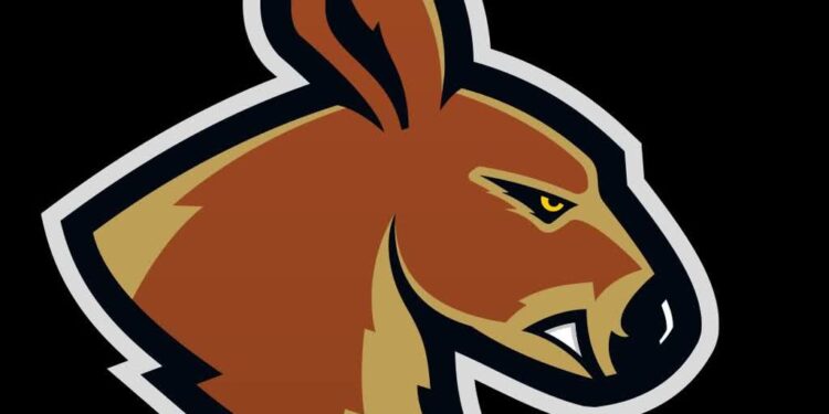 Młode Kangoory piszą historię