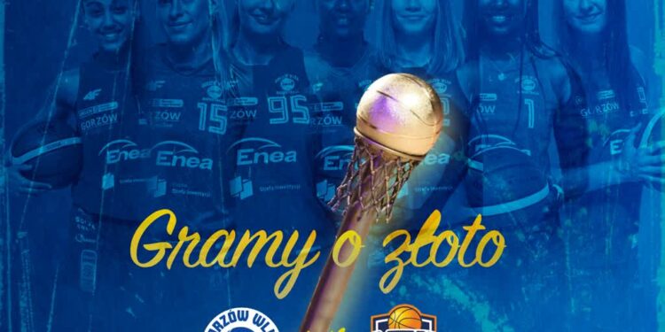 grafika: AZS AJP Gorzów Wlkp.