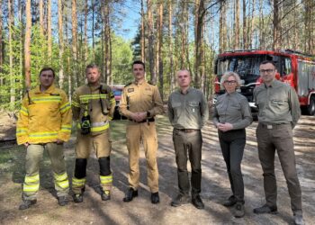 Majówka w lasach. Strażacy i leśnicy apelują o odpowiednie zachowanie