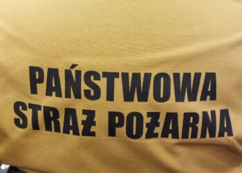 Wybuchła terma, interweniowali strażacy