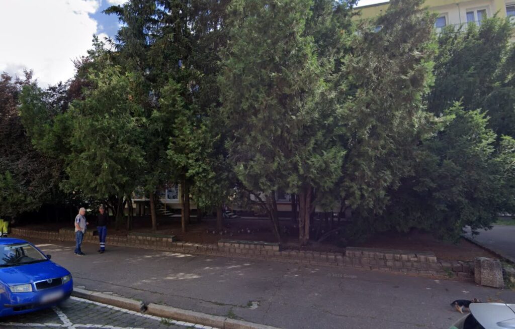 www.google.maps.pl