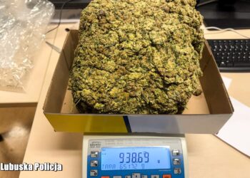 Kilogram marihuany w zderzaku. 28-latek zatrzymany