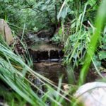 Jan Wojtanowski / Gorzów www.facebook.com