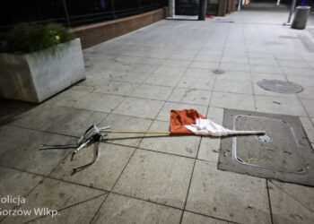 Zrywał polskie flagi. W zatrzymaniu pomógł monitoring [WIDEO]