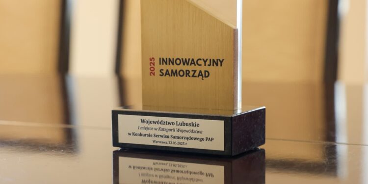 Lubuskie nagrodzone za Centrum Cyfryzacji Go Cloud