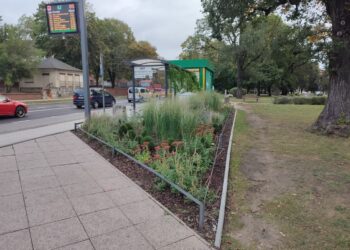 Kolejne skwery i zielone przystanki powstaną w Gorzowie