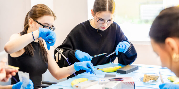 Wielospecjalistyczny Szpital Wojewódzki w Gorzowie