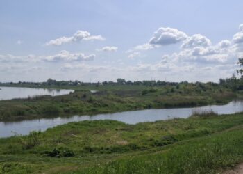 Uwaga na suszę. Strażacy już w akcji