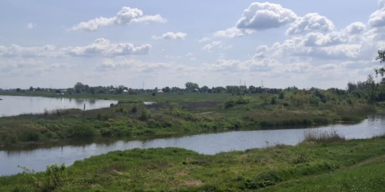 Uwaga na suszę. Strażacy już w akcji