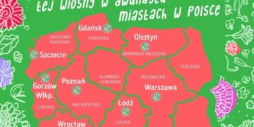 Idź na „spacer z psami” i zrób coś dobrego