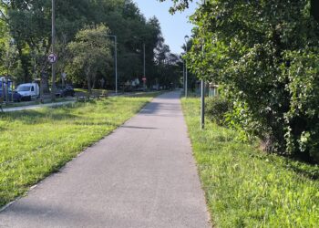 Inneko RCS przejmie zieleń w całym mieście