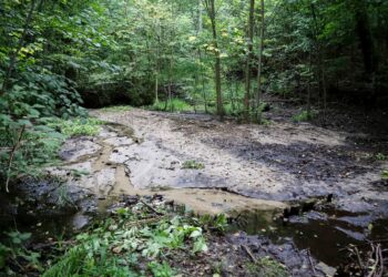 Jan Wojtanowski / Gorzów www.facebook.com