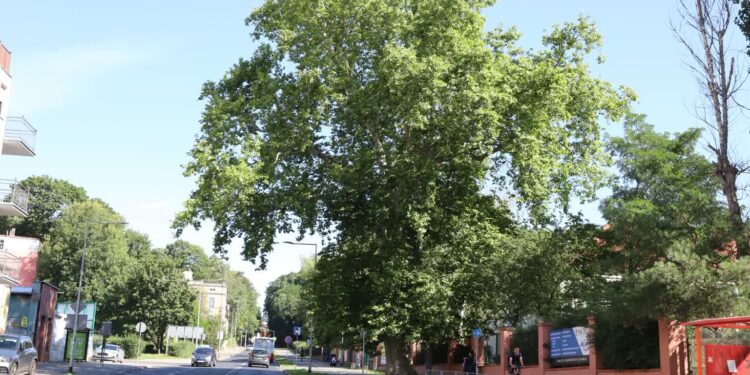 Gorzów / facebook.com