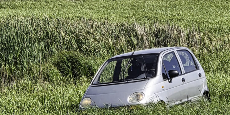 Kierowca z narkotykami i bez uprawnień zatrzymany. Próbował ukryć się w trzcinach i wodzie