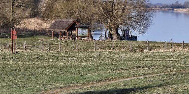 Marina Santok / www.facebook.com