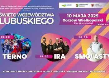 To już dziś: Terno, IRA i Smolasty