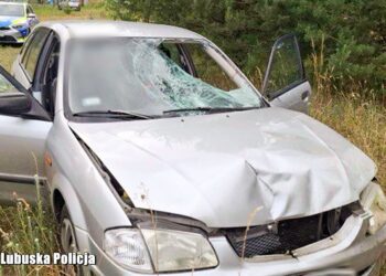 Pijany potrącił dwie kobiety. 59-latka nie przeżyła