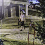 Fot. KMP w Gorzowie Wlkp.