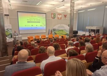 Przedsiębiorcy o zielonej gospodarce