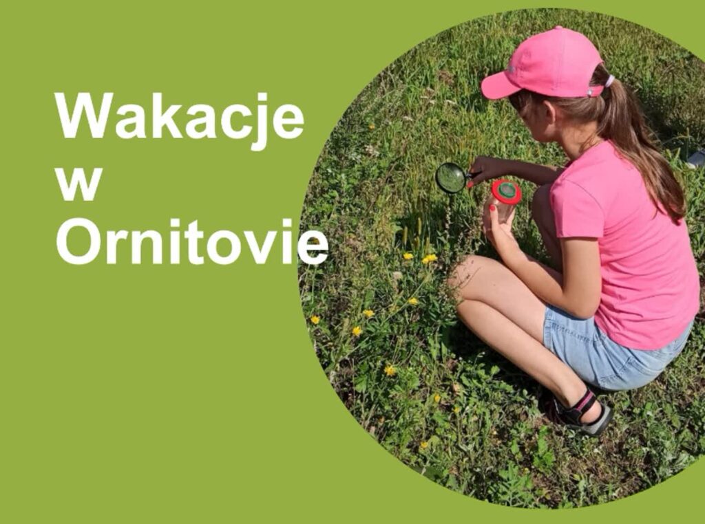 Park Narodowy "Ujście Warty"
