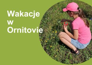 Park Narodowy "Ujście Warty"