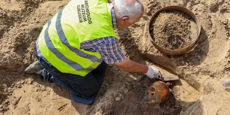 Cmentarzysko z czasów wojny trzydziestoletniej na ul. Spichrzowej [ZDJĘCIA]