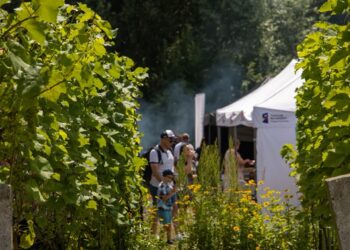 Winiarski festiwal w Santoku już w ten weekend