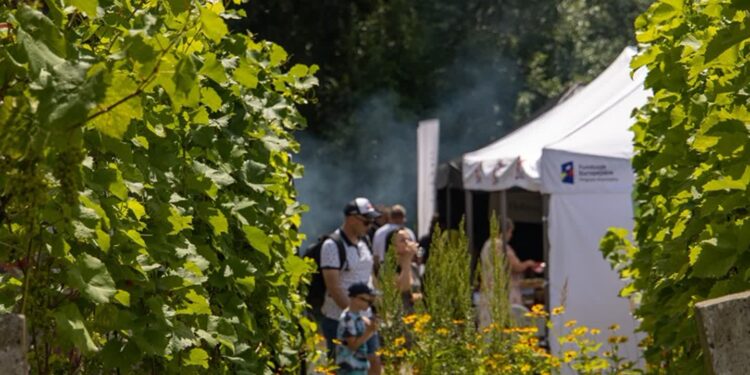 Winiarski festiwal w Santoku już w ten weekend