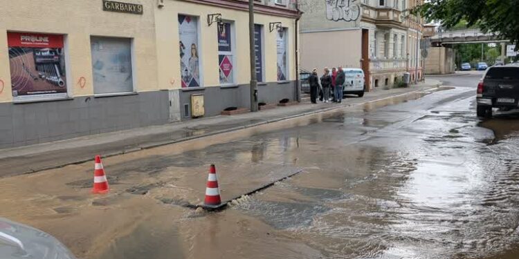 fot. Tomasz Rafalski