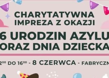 Dziś 6. urodziny Azorków