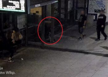 Poszukiwania 12-latki w Gorzowie. Pomógł monitoring