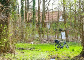 Park Czechówek przejdzie metamorfozę. Jest wykonawca inwestycji