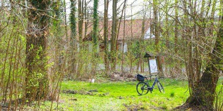 Park Czechówek przejdzie metamorfozę. Jest wykonawca inwestycji