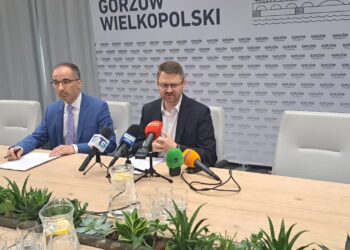 Hybrydowy system opłat za śmieci. Ile zapłacą gorzowianie?