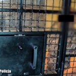 Fot. Lubuska Policja