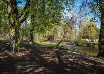 Słuchacze: co z budową ścieżki nad Kłodawką?