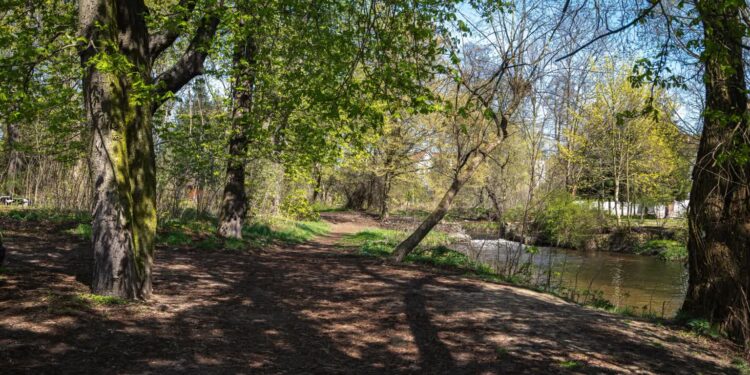 Słuchacze: co z budową ścieżki nad Kłodawką?