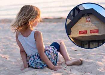 Fot. WSSE w Gorzowie Wlkp. i Pixabay