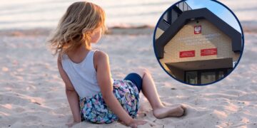 Fot. WSSE w Gorzowie Wlkp. i Pixabay