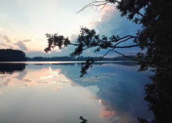 Kąpieliska w Lubuskiem. Tu możesz się kąpać bez obaw