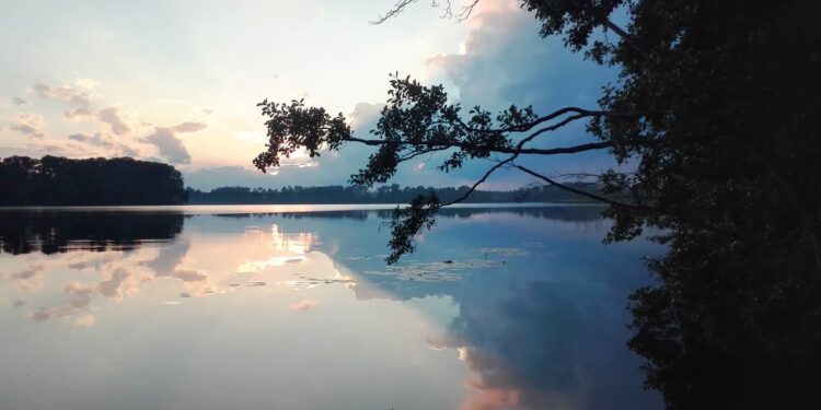 Kąpieliska w Lubuskiem. Tu możesz się kąpać bez obaw